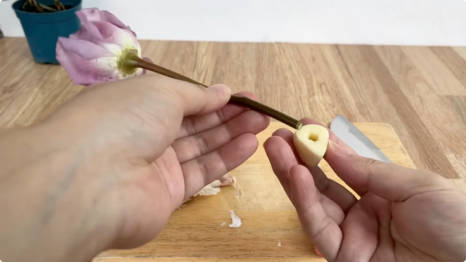 A Surprising Method to Propagate Roses Few Know About screenshot 2