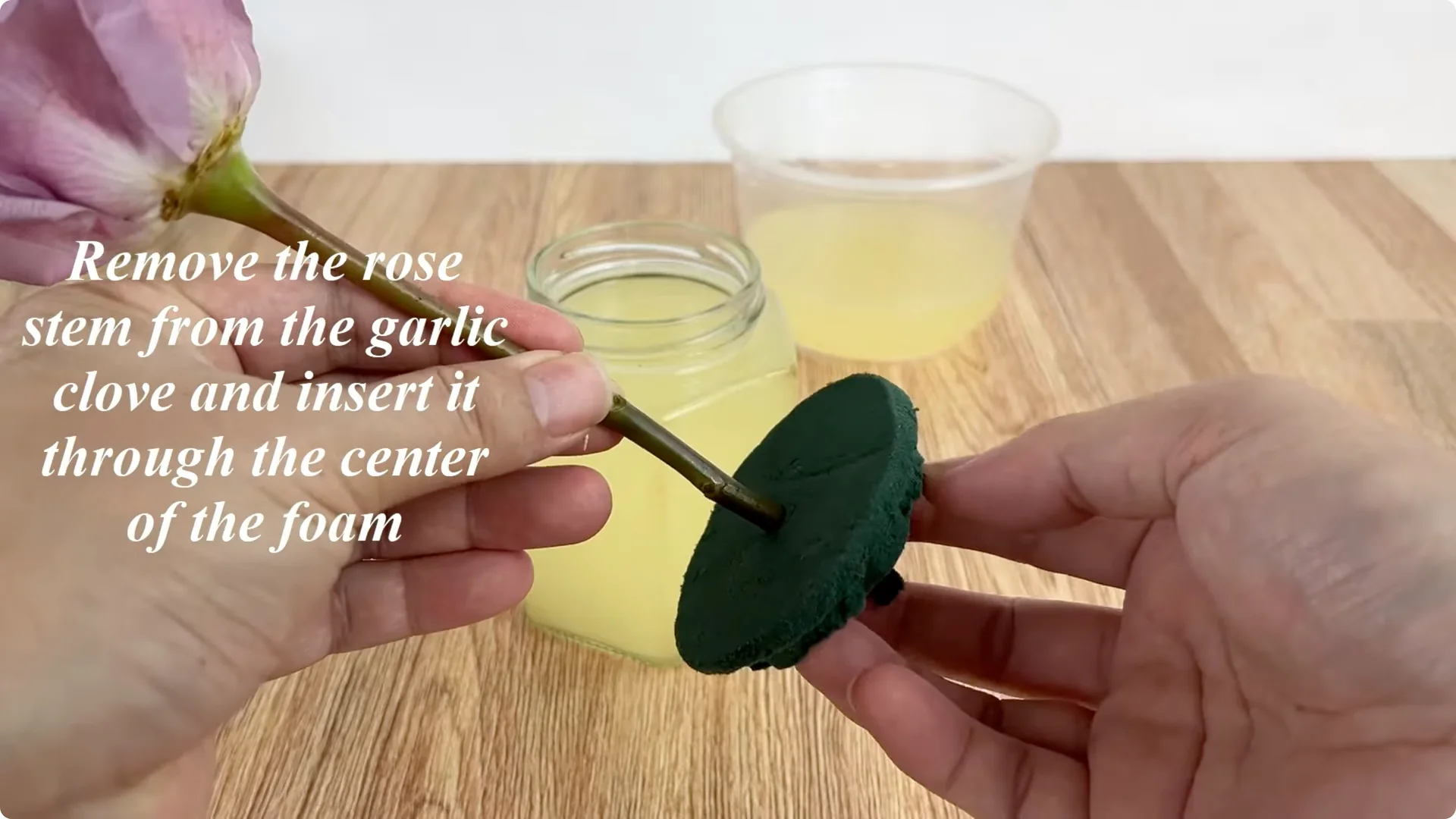 A Surprising Method to Propagate Roses Few Know About screenshot 4