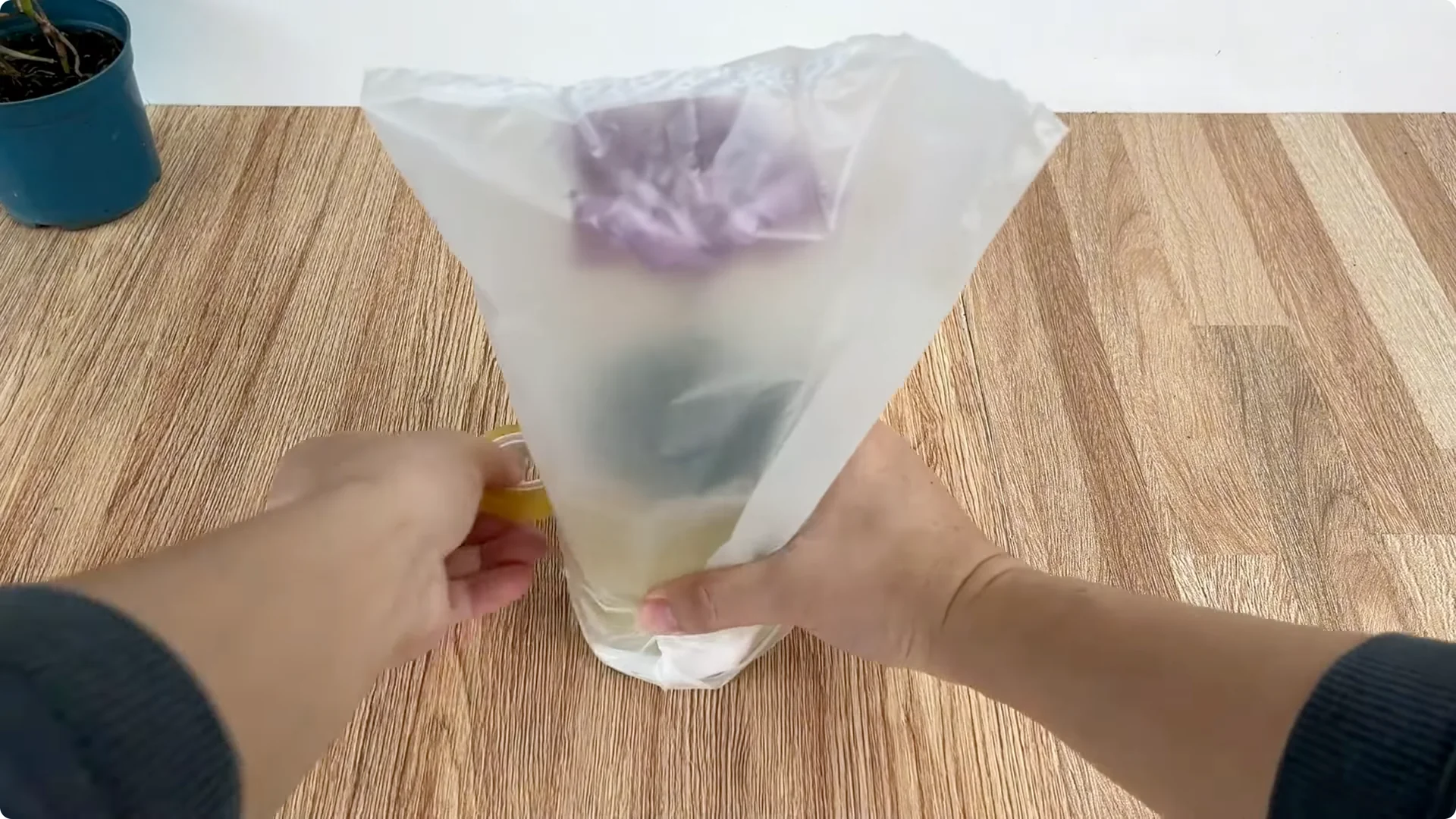 A Surprising Method to Propagate Roses Few Know About screenshot 5