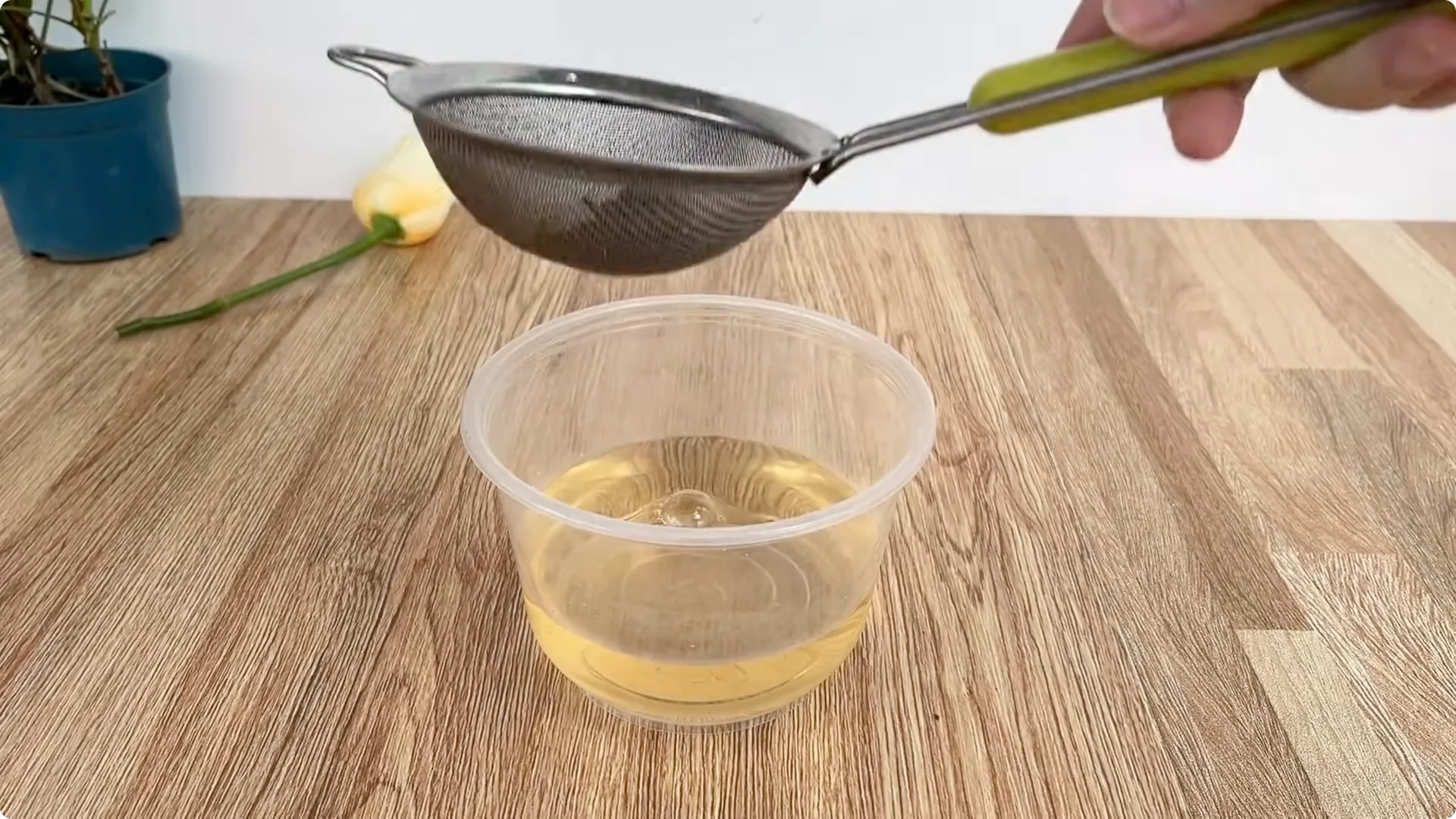 Discover a Simple, Effective Method to Propagate Roses screenshot 3