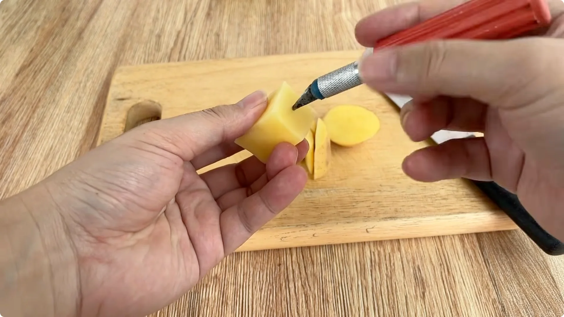 Discover a Simple, Effective Method to Propagate Roses screenshot 4