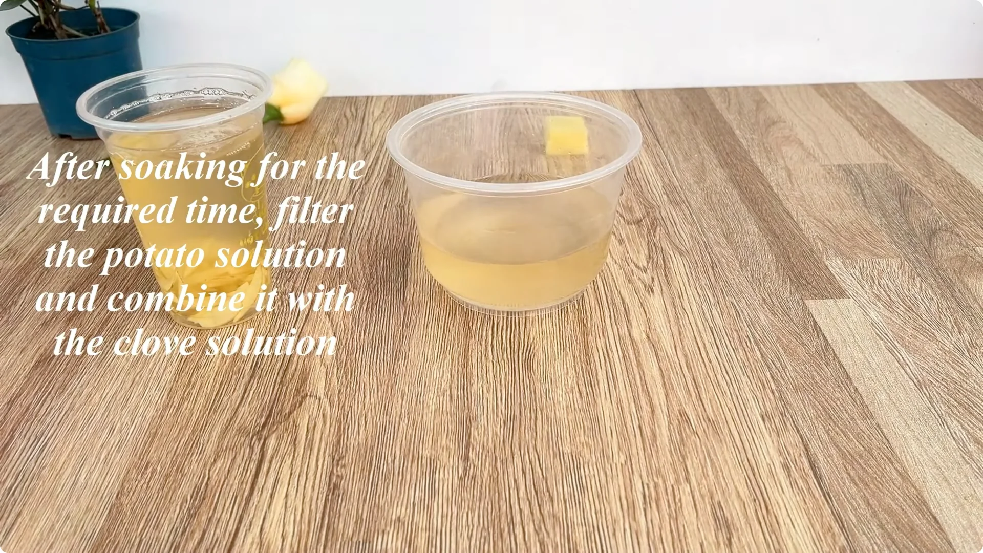 Discover a Simple, Effective Method to Propagate Roses screenshot 5