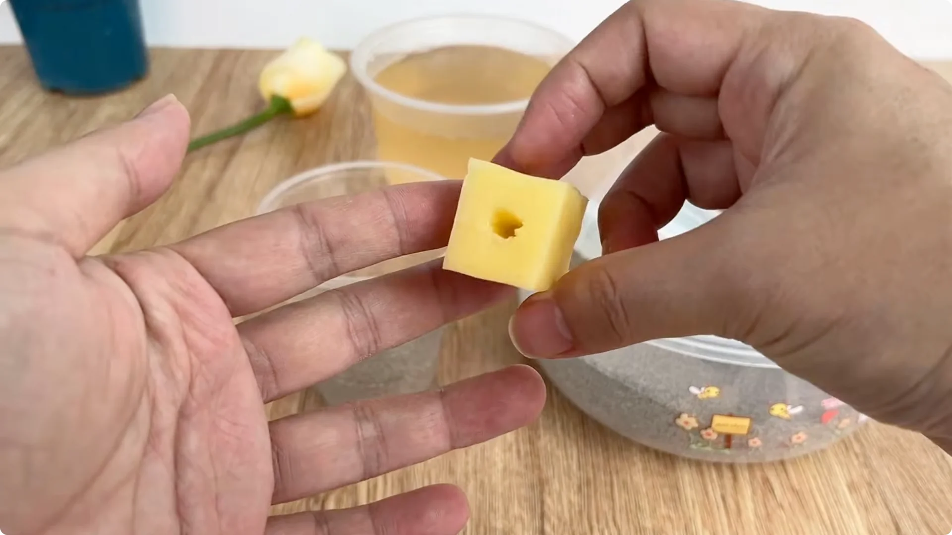 Discover a Simple, Effective Method to Propagate Roses screenshot 6