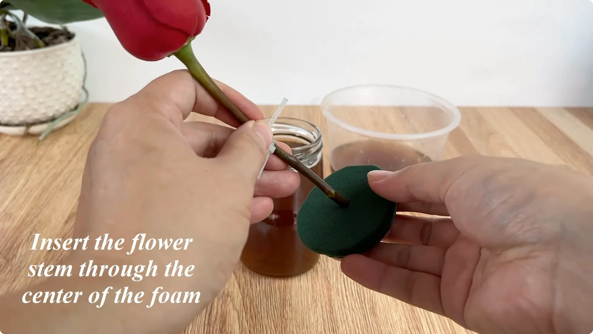 Discover the Easy Method Anyone Can Use to Propagate Roses screenshot 5