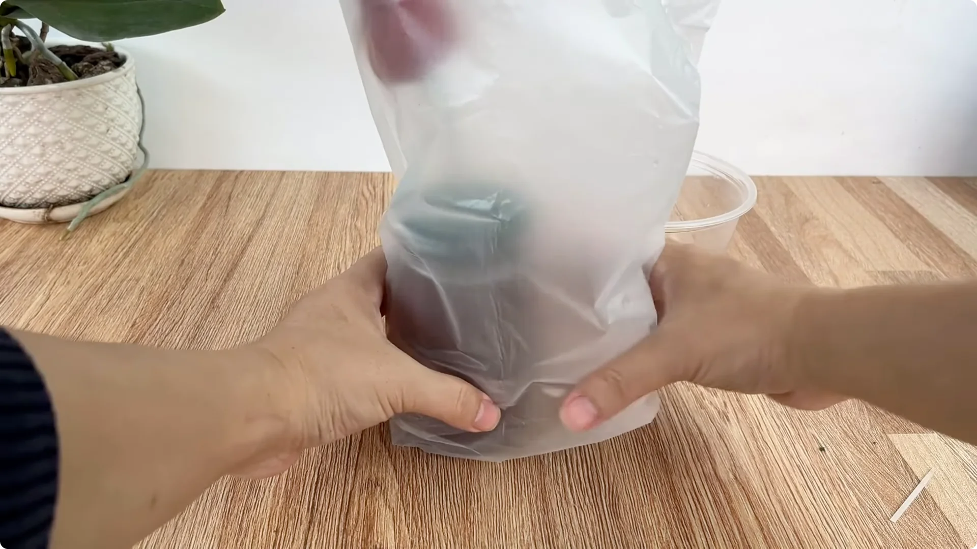 Discover the Easy Method Anyone Can Use to Propagate Roses screenshot 6