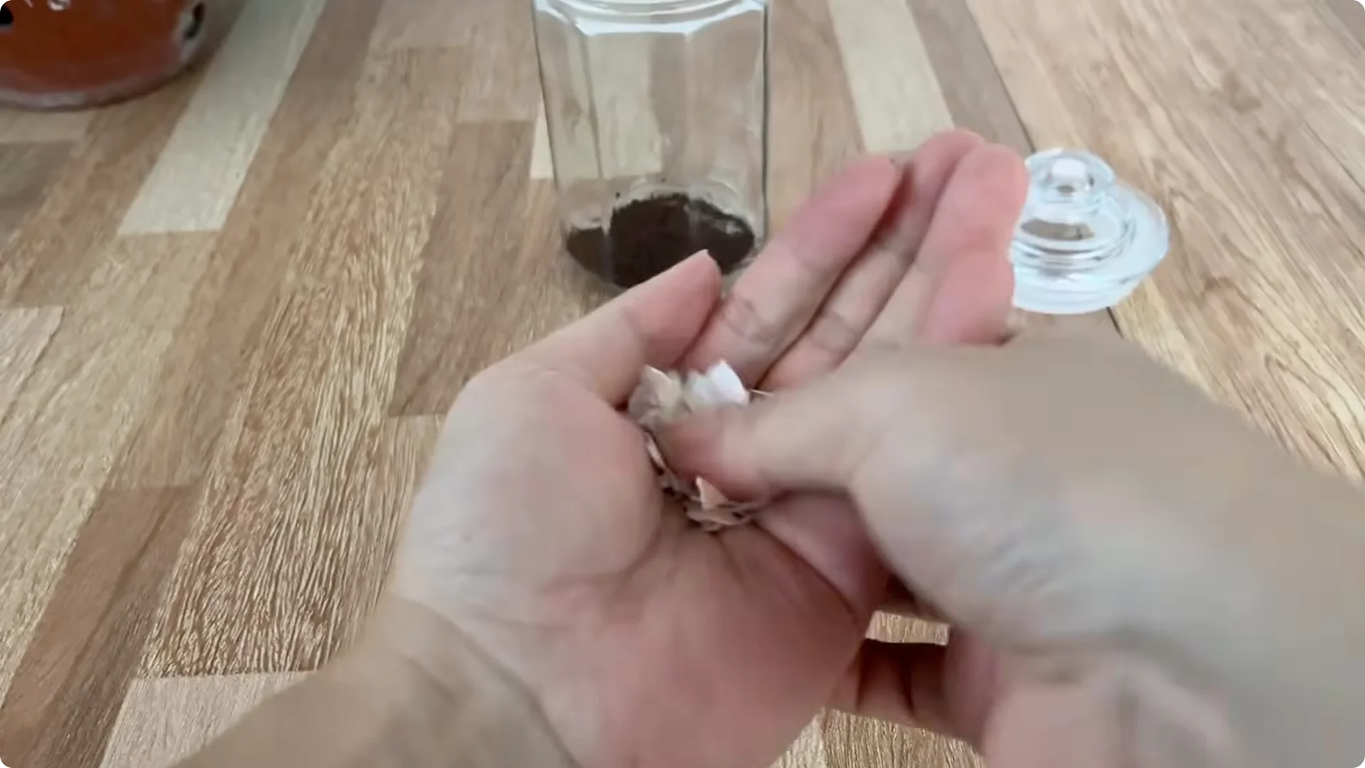 Discover the Surprising Method to Propagate Roses Easily screenshot 2