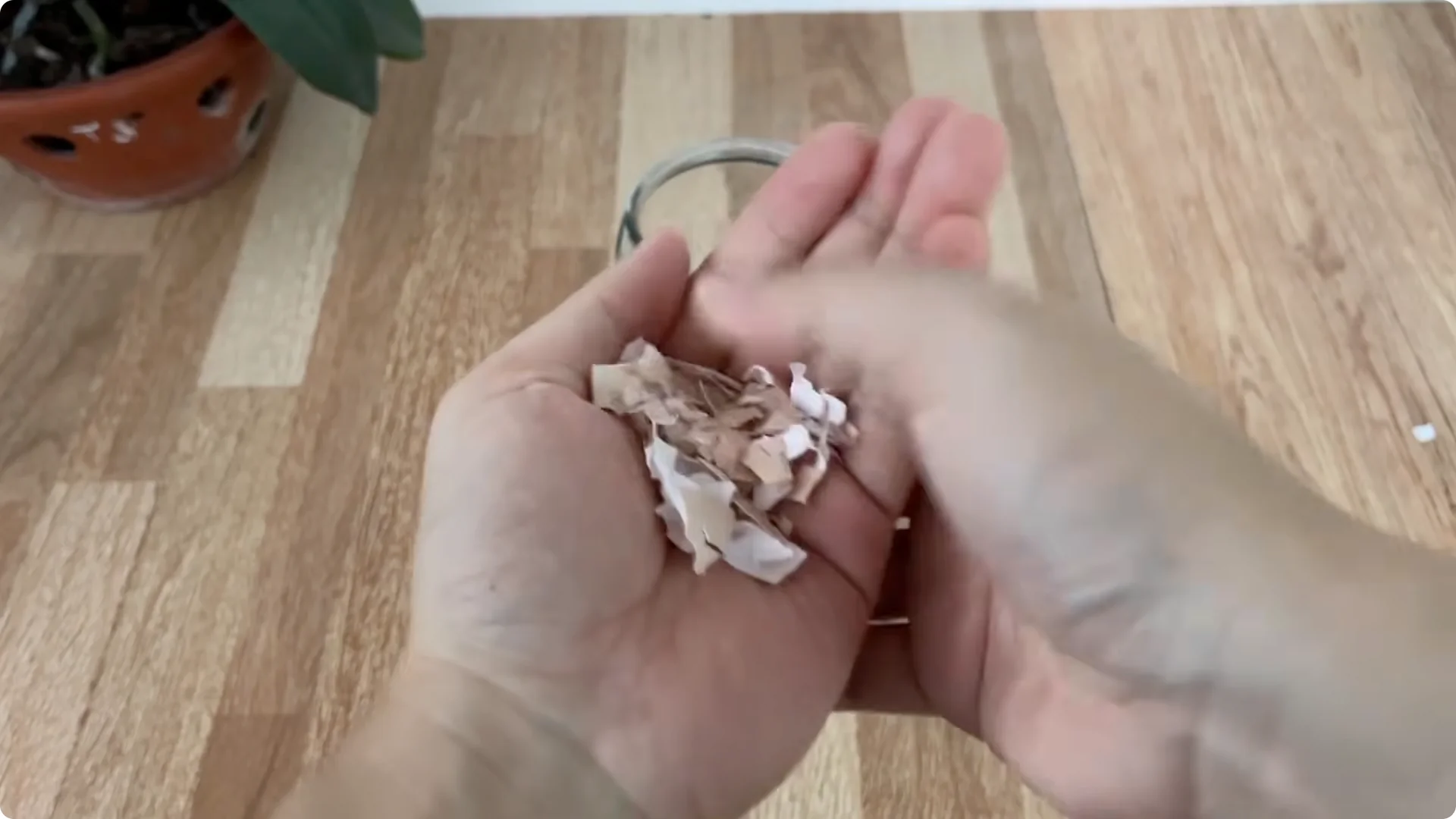 Discover the Surprising Method to Propagate Roses Easily screenshot 3