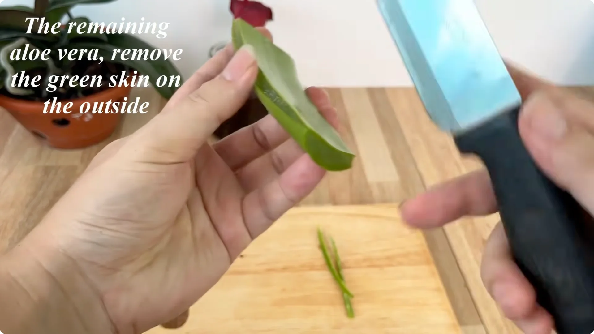 Discover the Surprising Method to Propagate Roses Easily screenshot 7