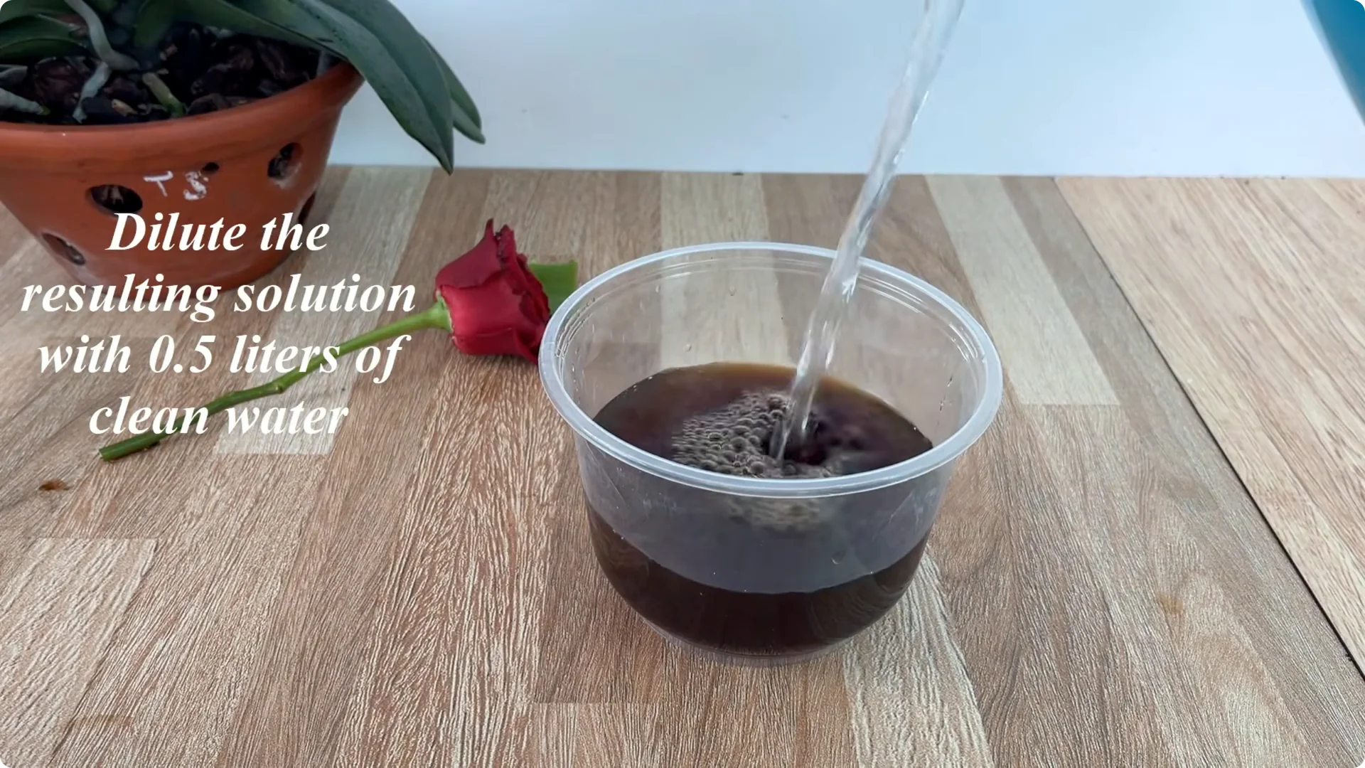 Discover the Surprising Method to Propagate Roses Easily screenshot 8