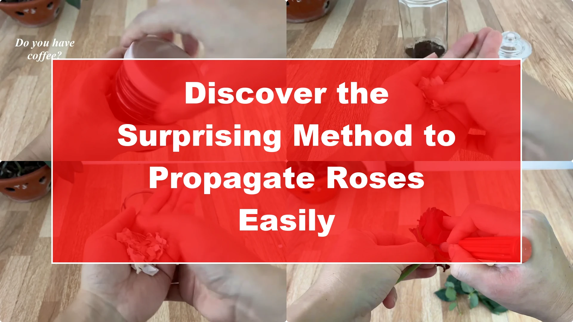 Discover the Surprising Method to Propagate Roses Easily - Featured Image