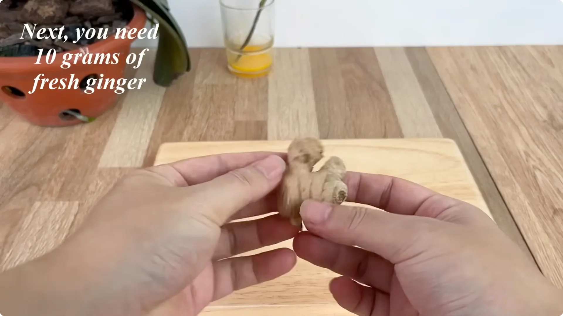 How an Egg Sparked Rose Branches to Root and Bloom Abundantly screenshot 2