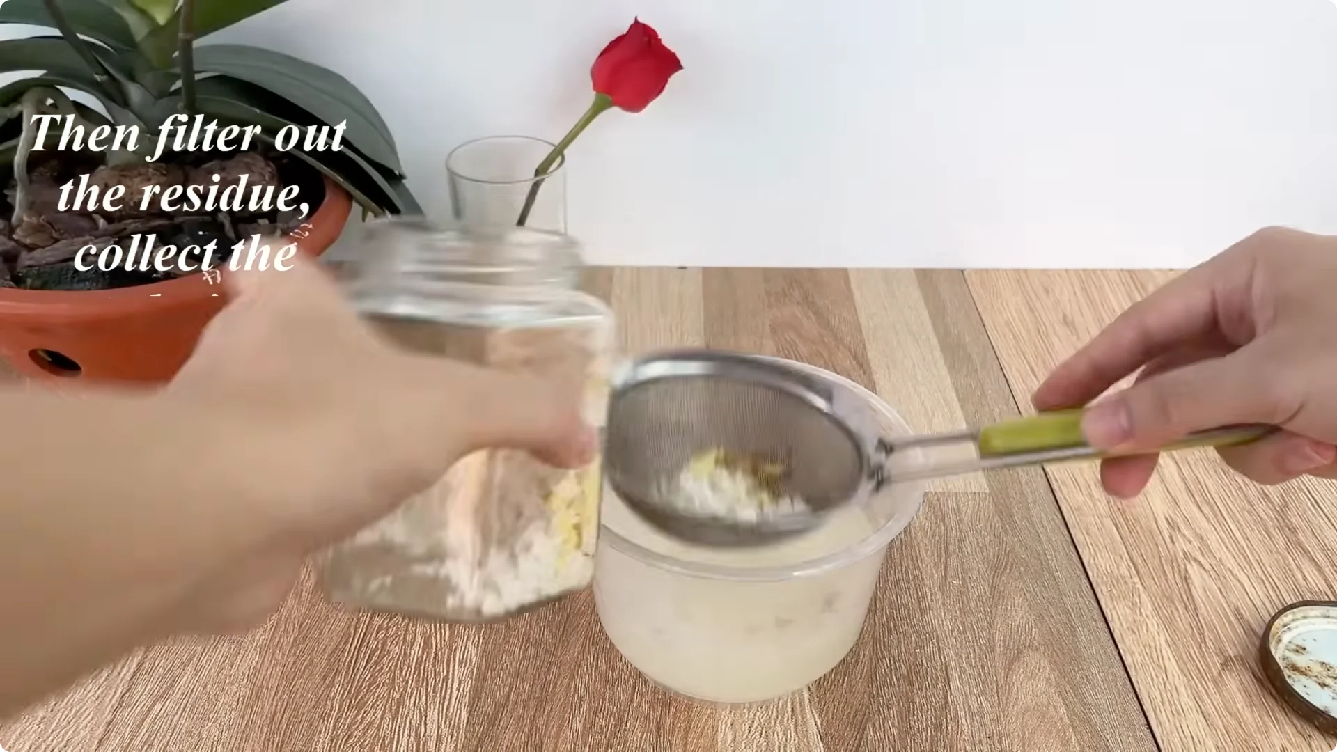 How an Egg Sparked Rose Branches to Root and Bloom Abundantly screenshot 4