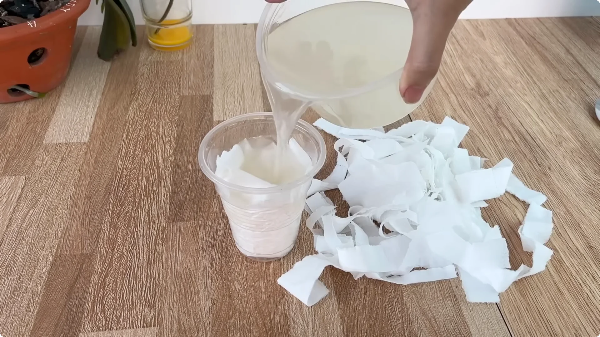 How an Egg Sparked Rose Branches to Root and Bloom Abundantly screenshot 5