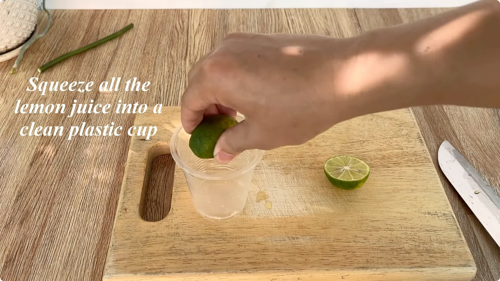 How Banana Peels Boost Rose Stems with Roots and Flowers screenshot 2