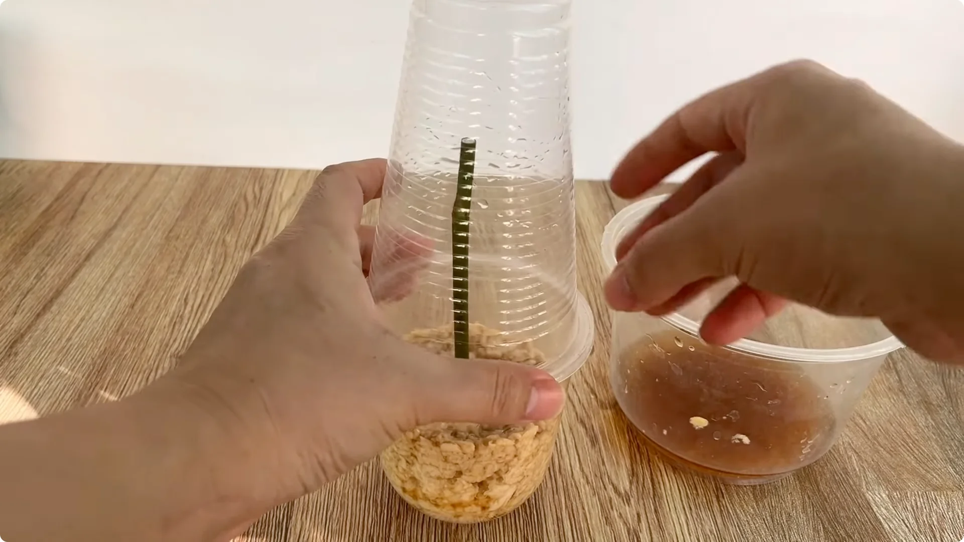 How Banana Peels Boost Rose Stems with Roots and Flowers screenshot 6