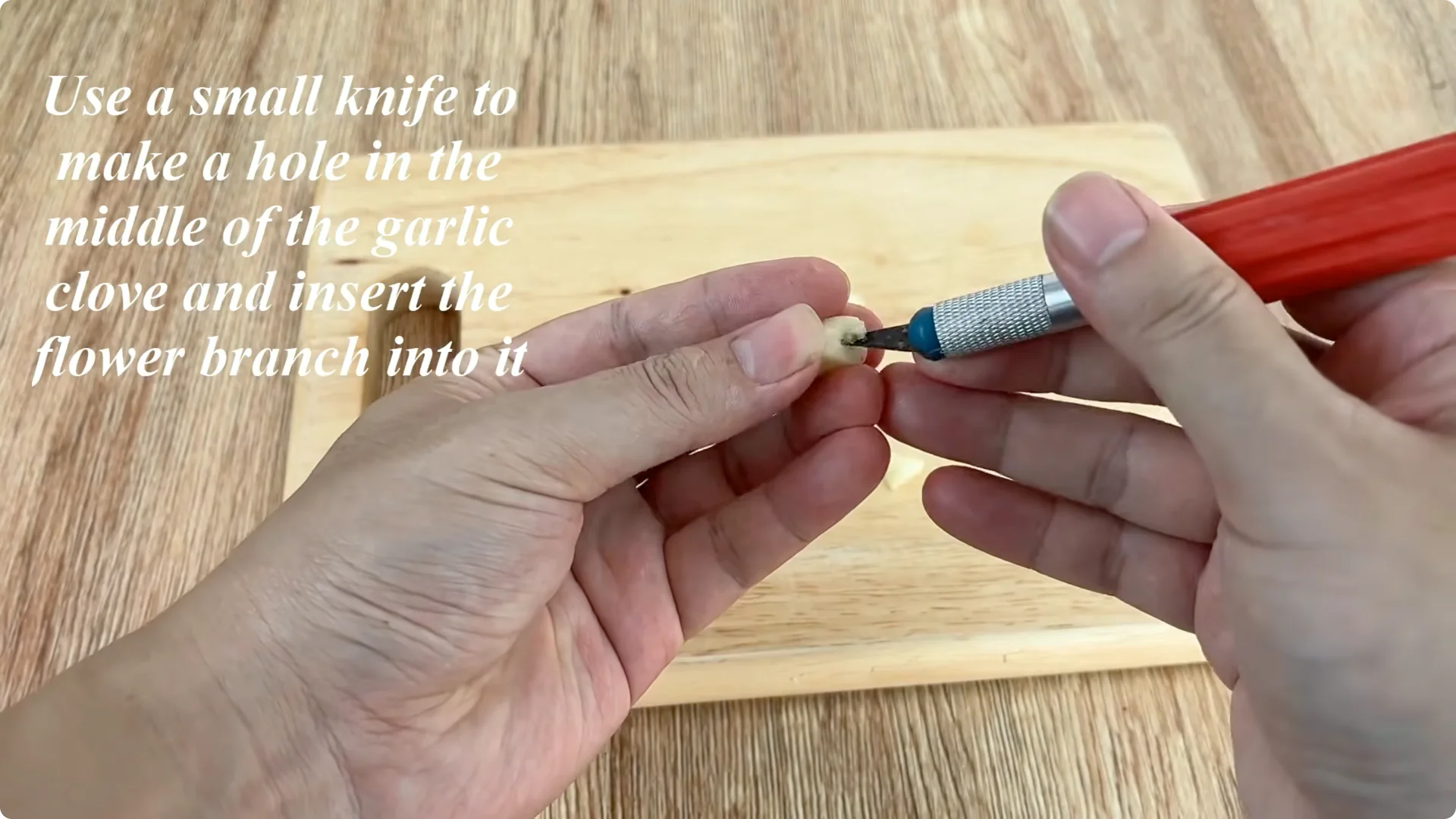 How Coca-Cola Can Help You Grow Roses Easily and Affordably screenshot 2