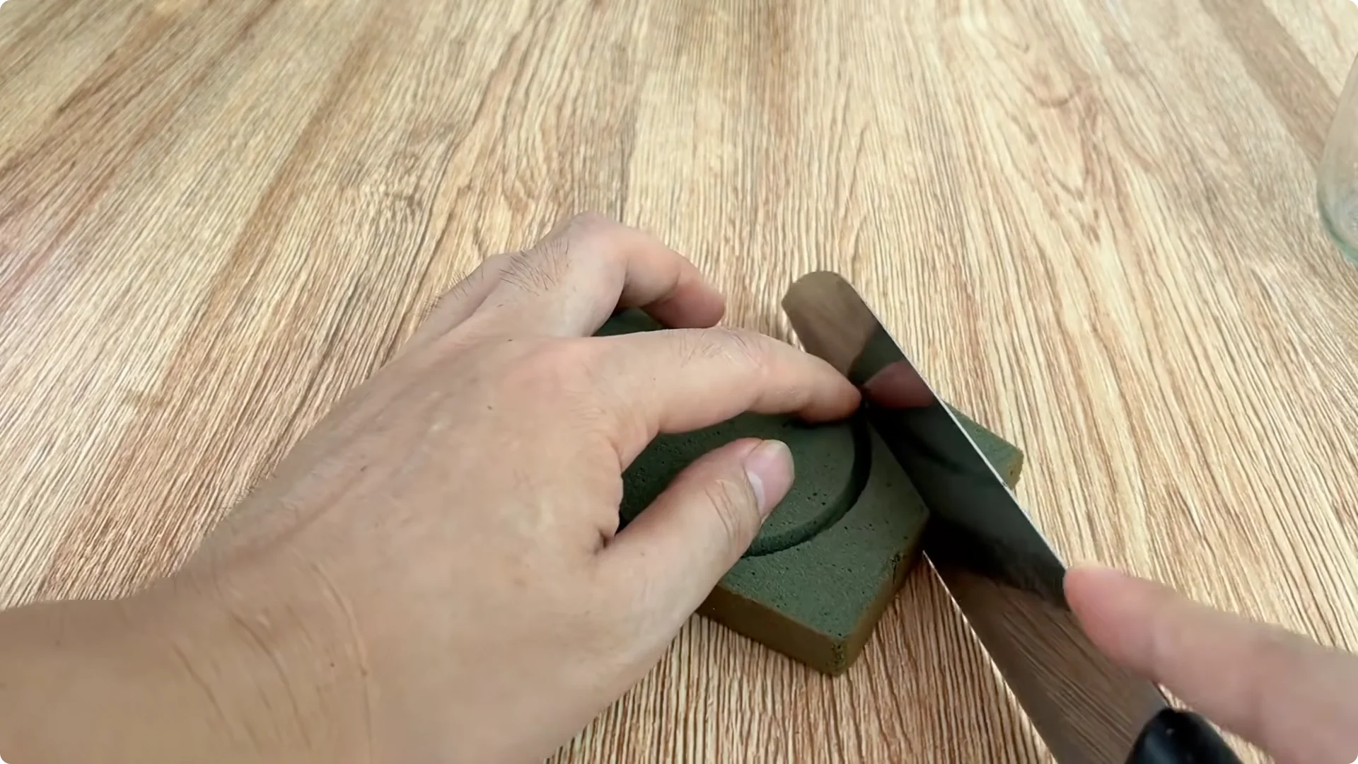 How Coca-Cola Can Help You Grow Roses Easily and Affordably screenshot 5