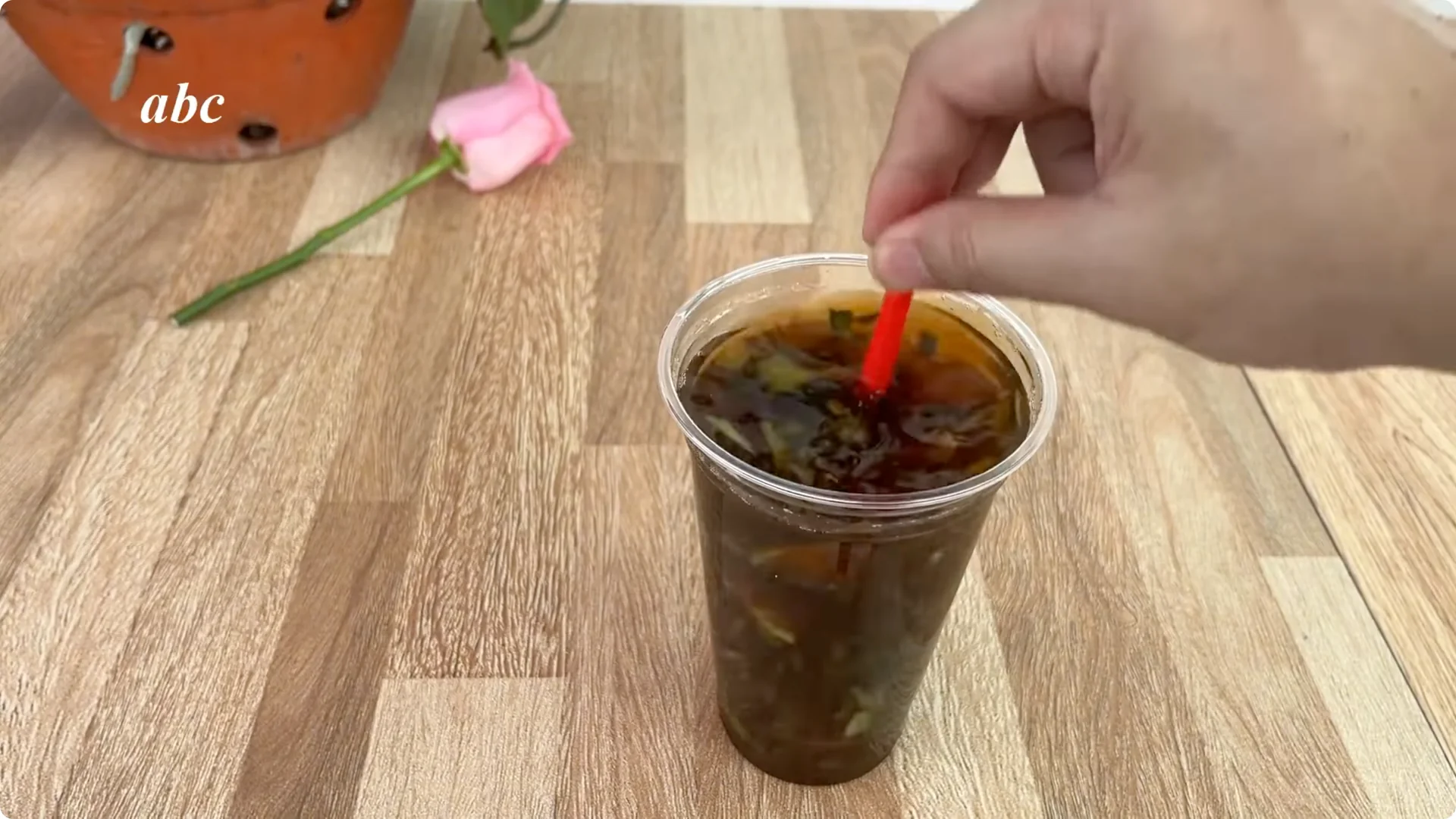 How Coffee Boosts Rose Cutting Propagation Fast and Effectively screenshot 6