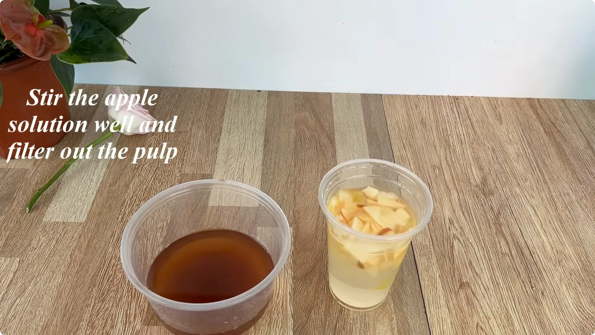 How Coffee Transforms Your Rose Plant’s Roots and Blooms screenshot 12