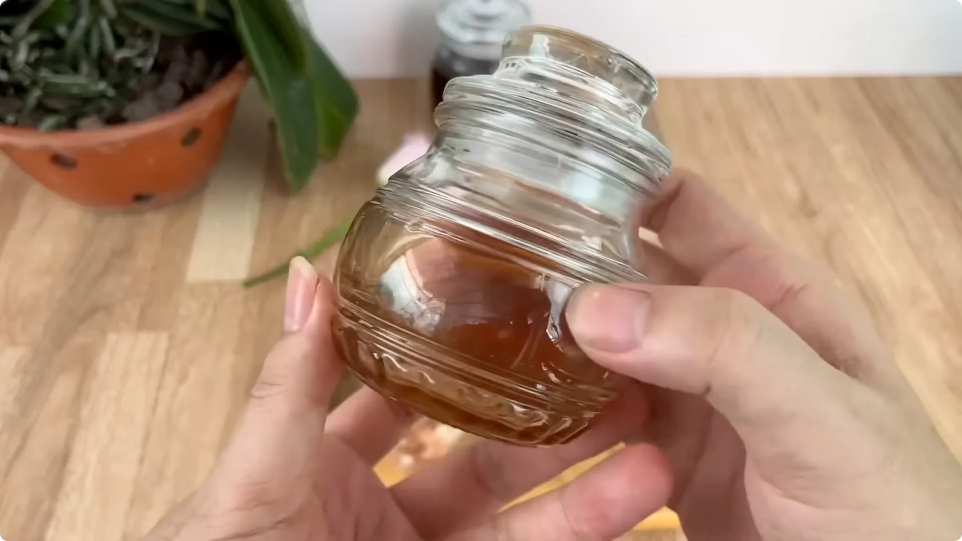 How Coffee Transforms Your Rose Plant’s Roots and Blooms screenshot 3