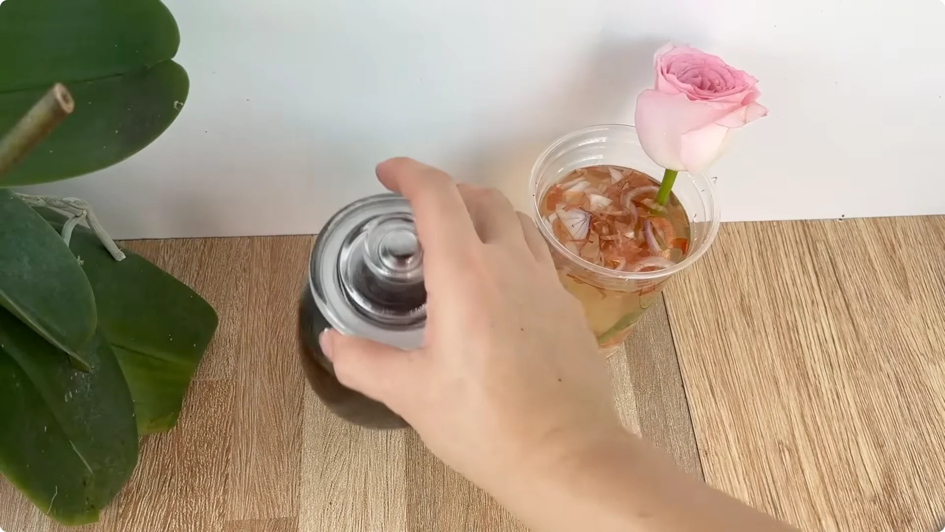 How Coffee Transforms Your Rose Plant’s Roots and Blooms screenshot 4