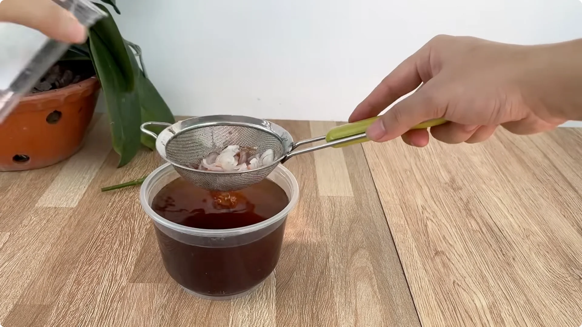 How Coffee Transforms Your Rose Plant’s Roots and Blooms screenshot 5