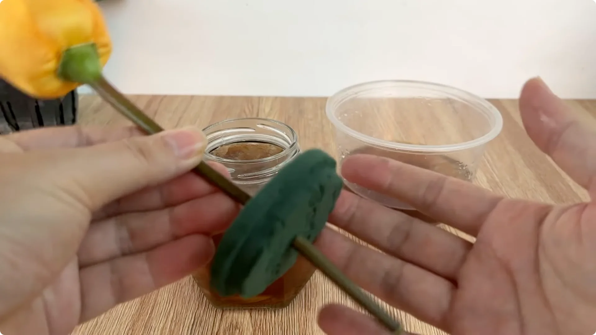 How Does Coca-Cola Help Propagate Roses Quickly and Easily? screenshot 7