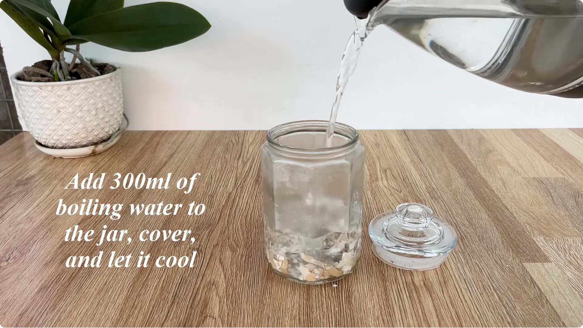 How Eggshells Help Grow Strong, Healthy Rose Roots screenshot 1