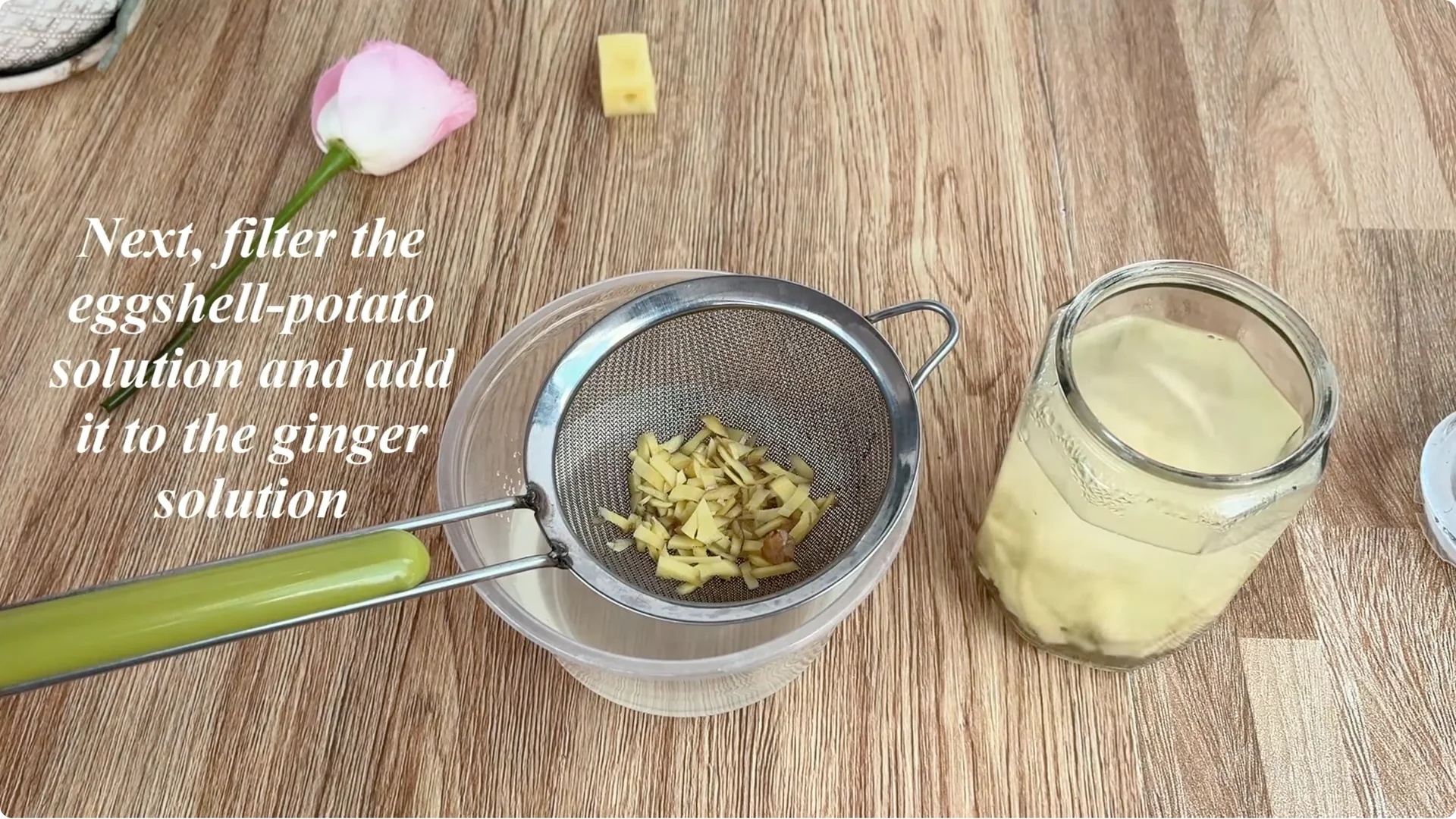 How Eggshells Help Grow Strong, Healthy Rose Roots screenshot 5