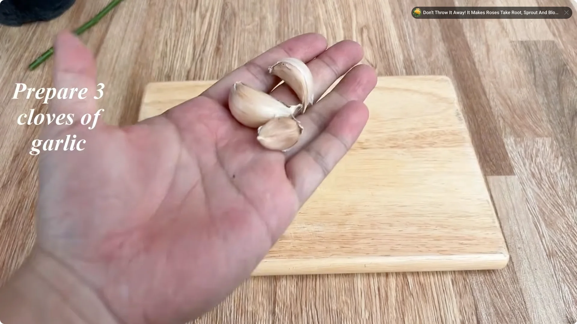 How Garlic Helps Rose Cuttings Root Fast: Simple Propagation Tips screenshot 1