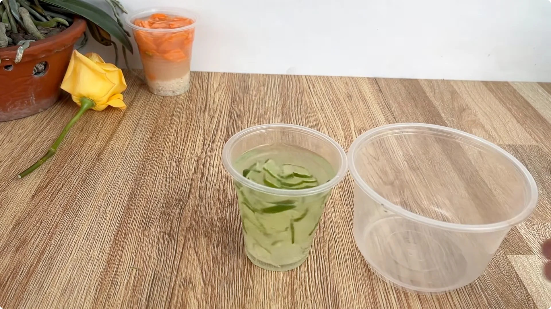 How Lemons Can Boost Rose Root Growth and Blooming screenshot 13