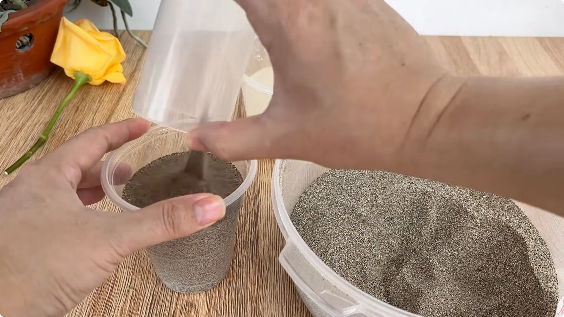 How Lemons Can Boost Rose Root Growth and Blooming screenshot 17