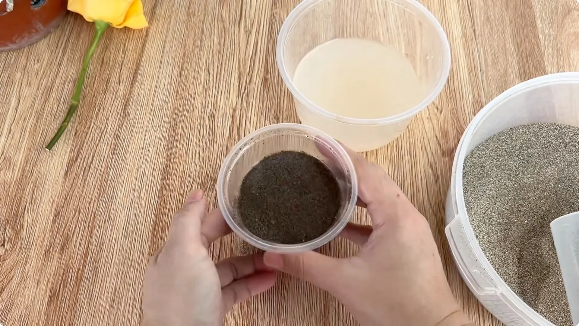 How Lemons Can Boost Rose Root Growth and Blooming screenshot 18