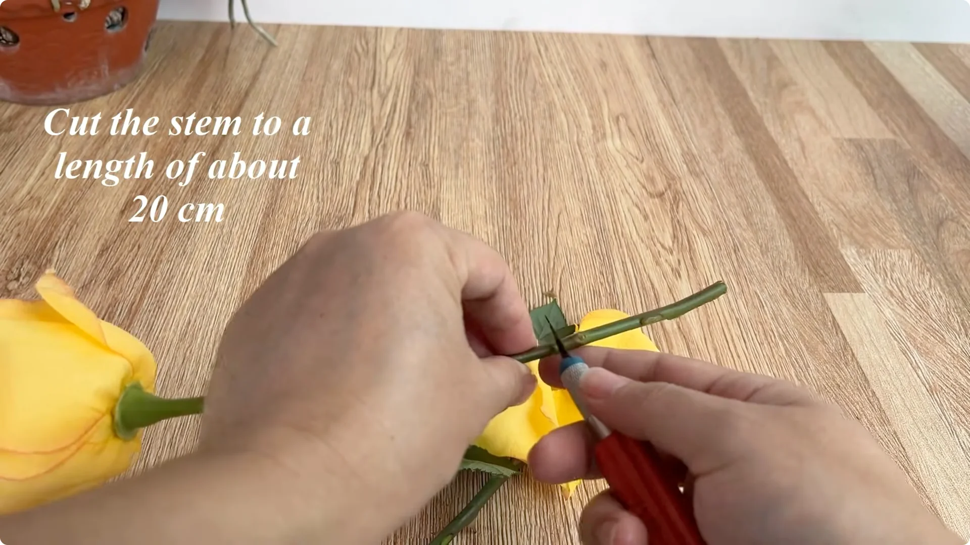 How Lemons Can Boost Rose Root Growth and Blooming screenshot 4