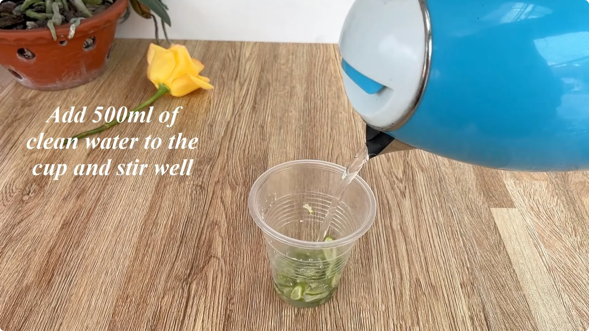 How Lemons Can Boost Rose Root Growth and Blooming screenshot 7