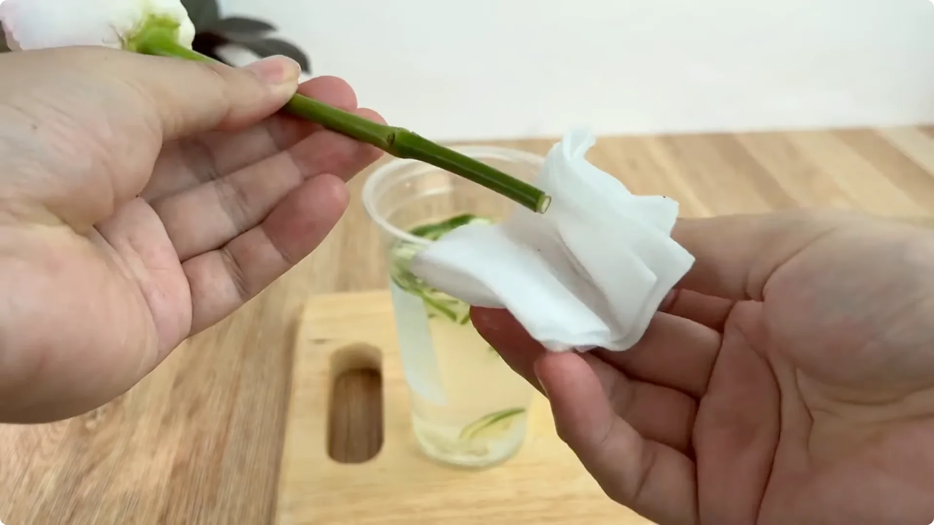 How Lemons Can Speed Up Rose Propagation Effectively screenshot 2