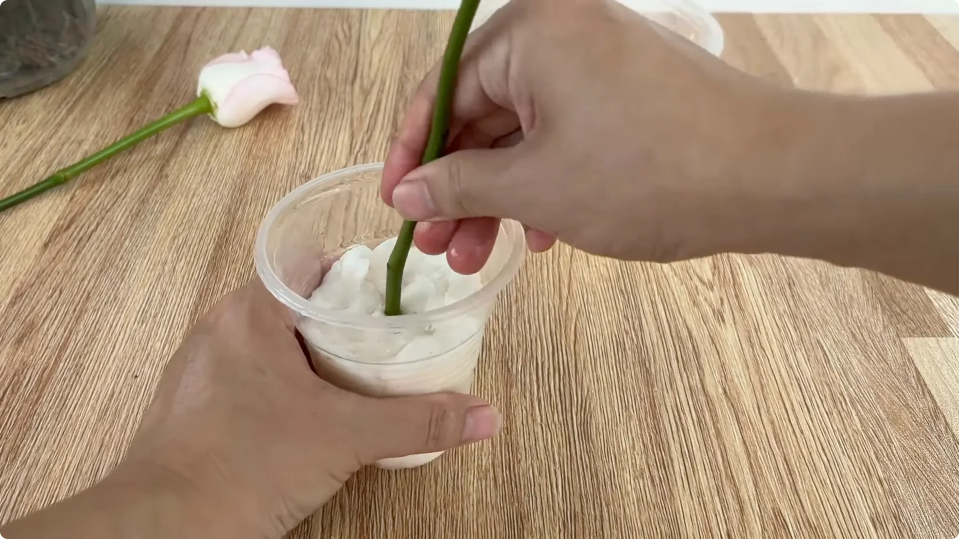 How Lemons Can Speed Up Rose Propagation Effectively screenshot 5