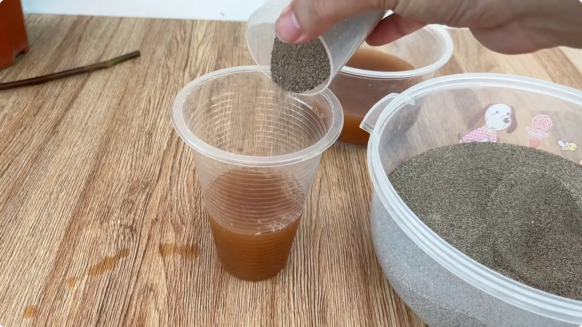 How One Cup Can Transform Your Rose Plant’s Growth and Blooms screenshot 6