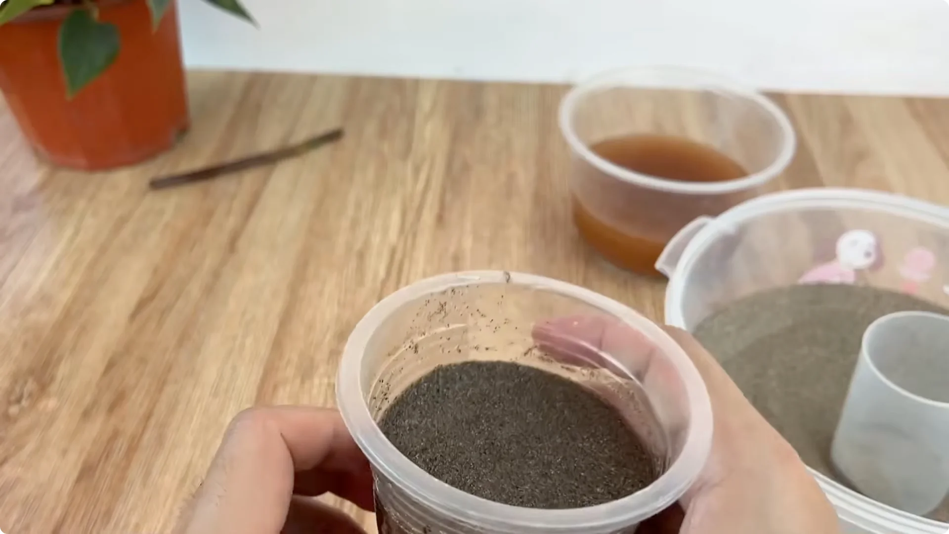 How One Cup Can Transform Your Rose Plant’s Growth and Blooms screenshot 7