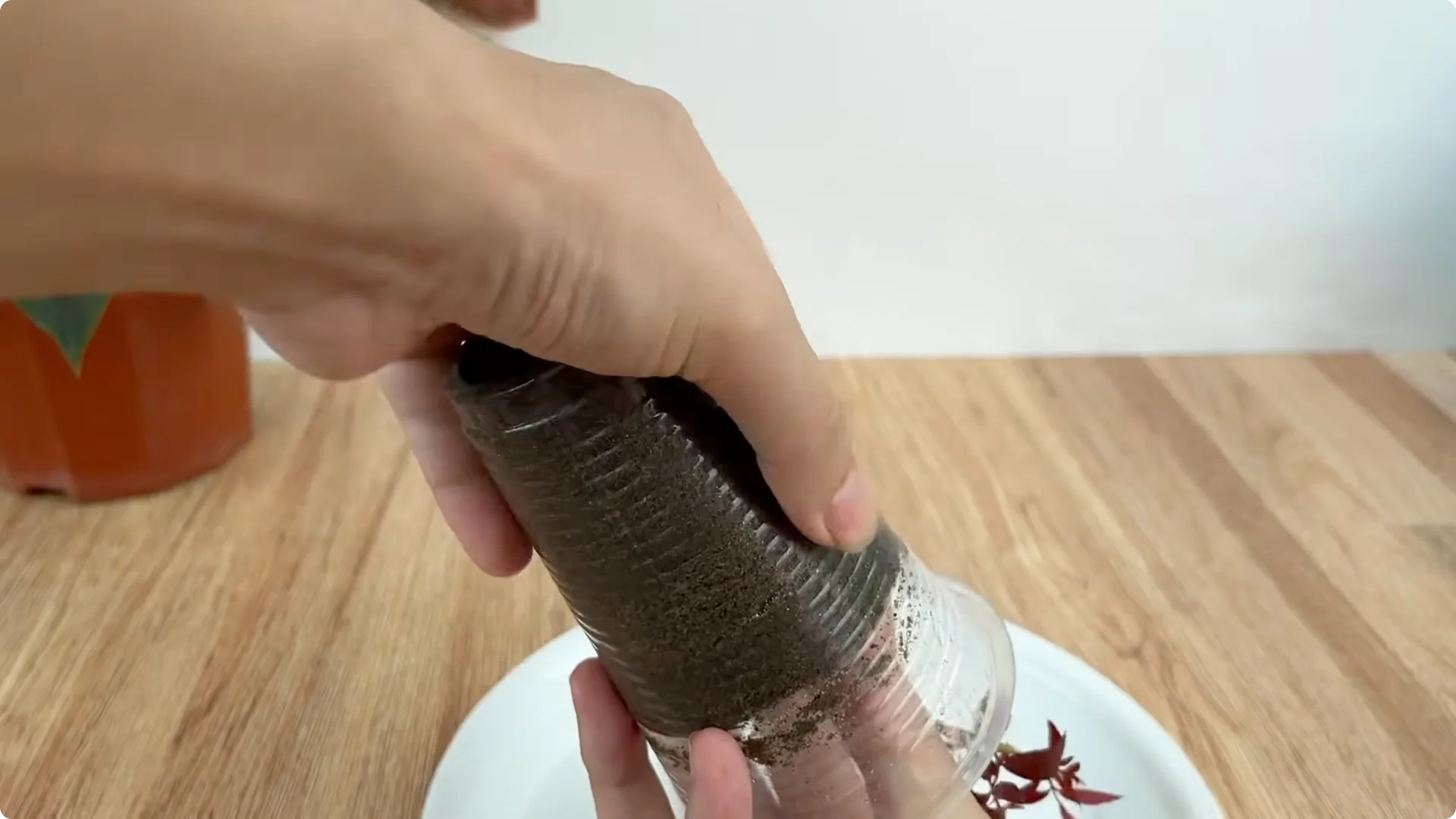 How One Cup Can Transform Your Rose Plant’s Growth and Blooms screenshot 9