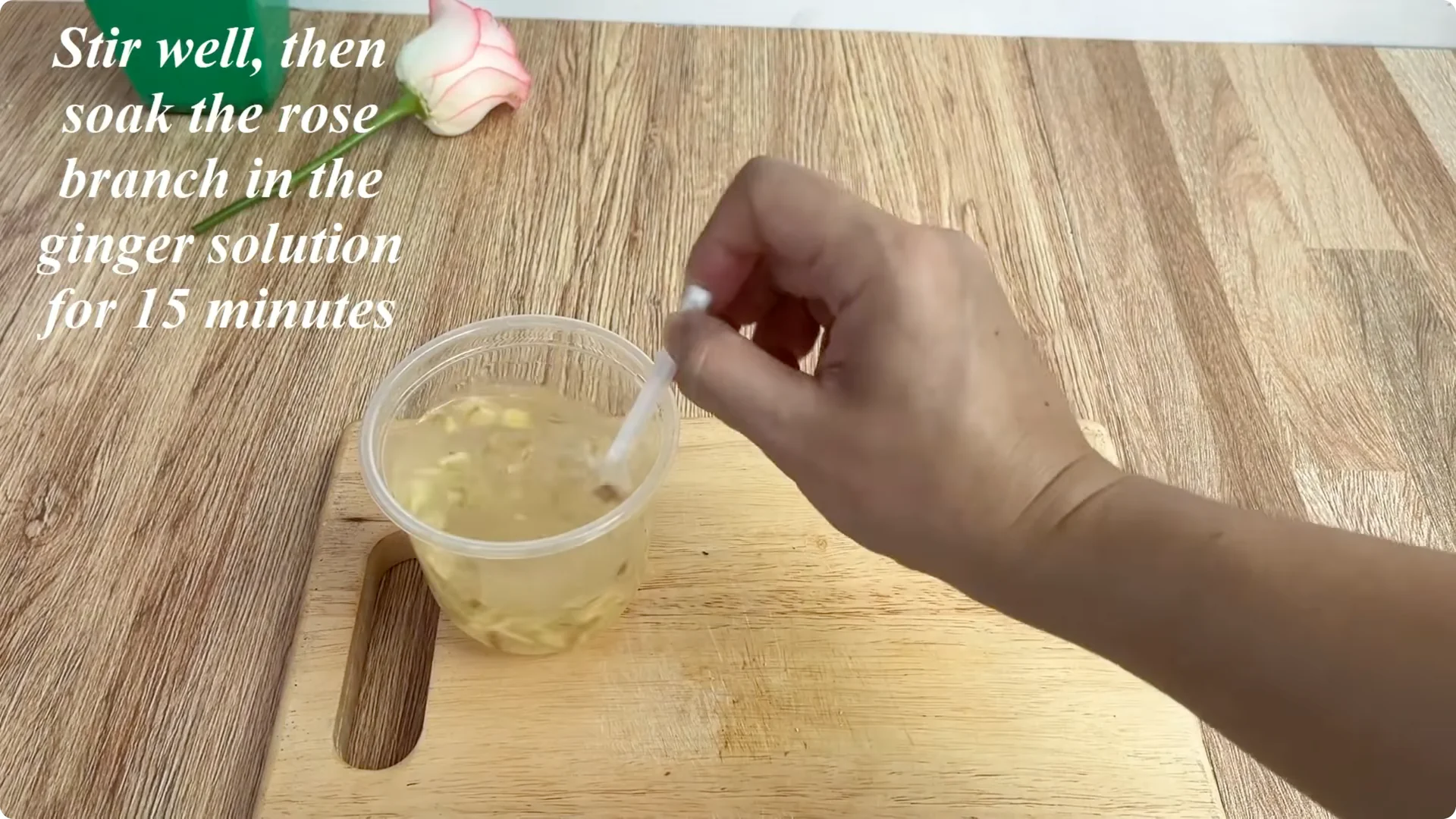 How One Cup Helped a Rose Branch Bloom Unexpectedly screenshot 4