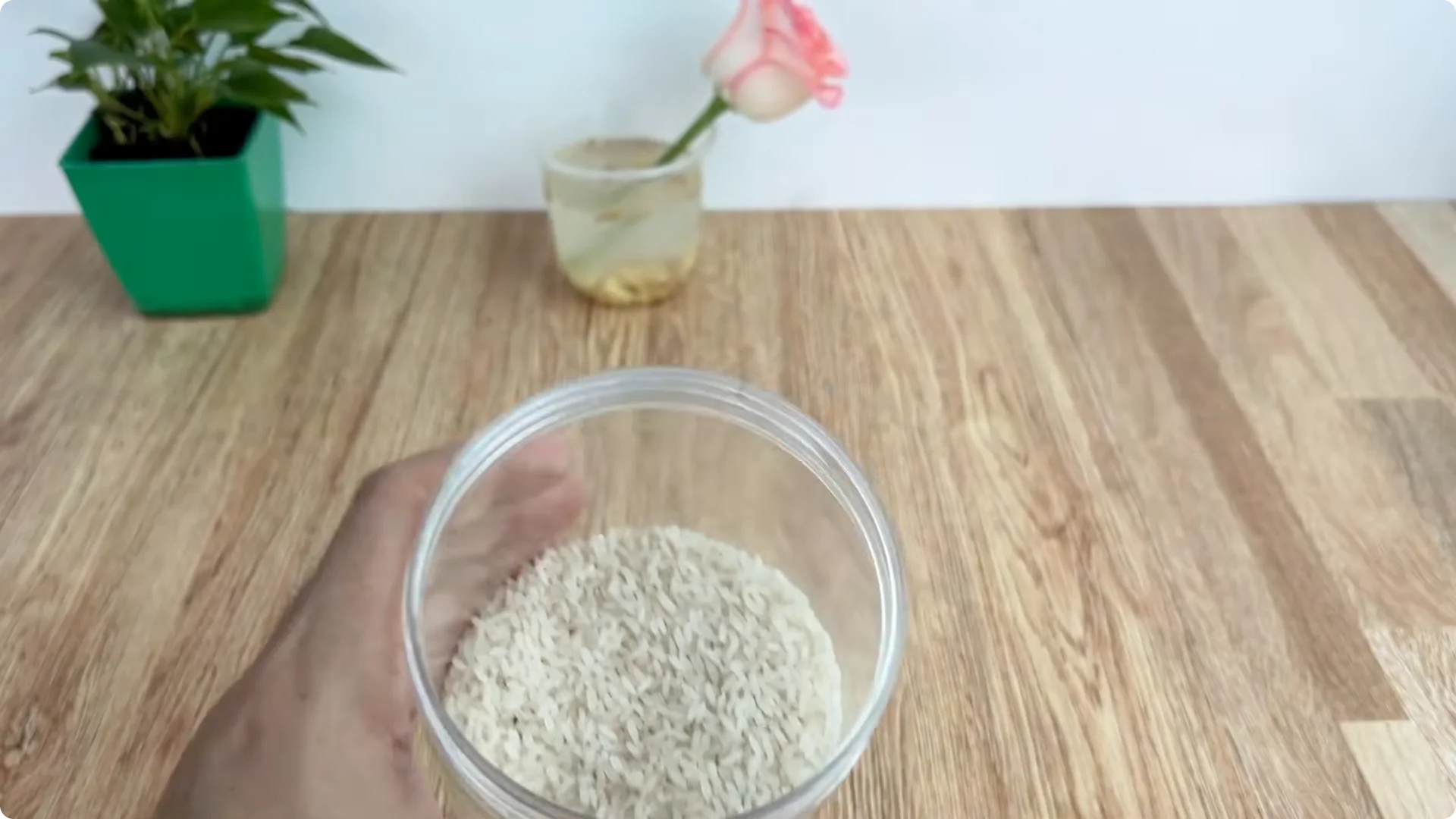 How One Cup Helped a Rose Branch Bloom Unexpectedly screenshot 5