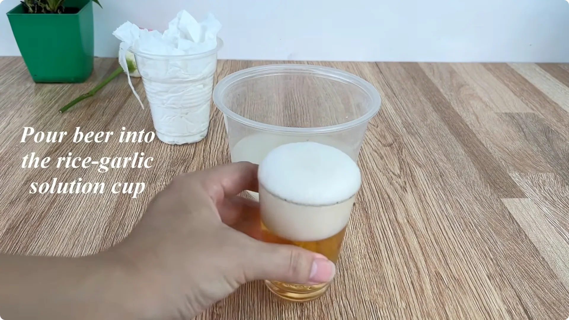 How One Cup Helped a Rose Branch Bloom Unexpectedly screenshot 8