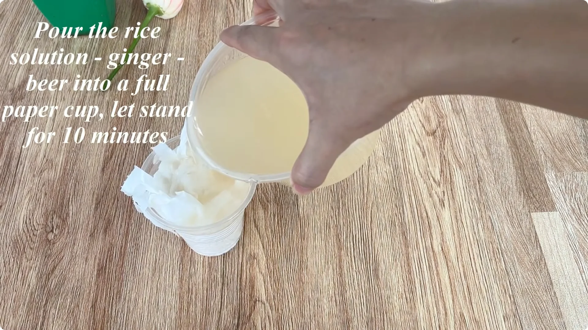 How One Cup Helped a Rose Branch Bloom Unexpectedly screenshot 9