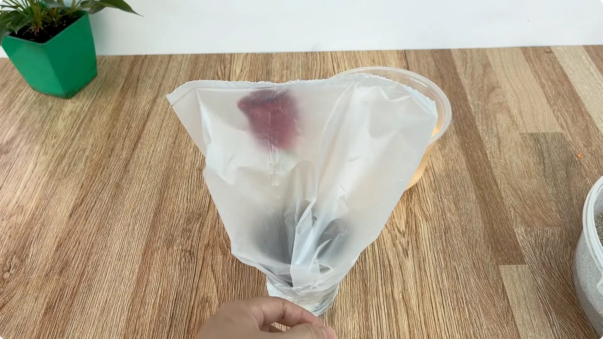 How One Cup Sparks Rapid Growth in Rose Branches screenshot 13