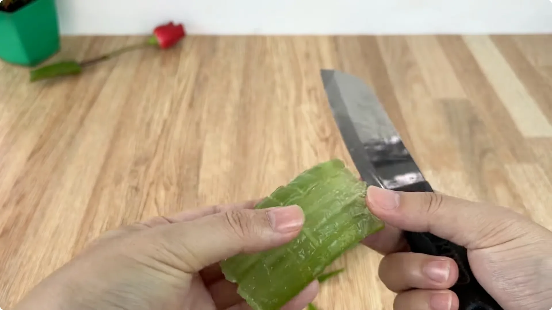 How One Cup Sparks Rapid Growth in Rose Branches screenshot 6