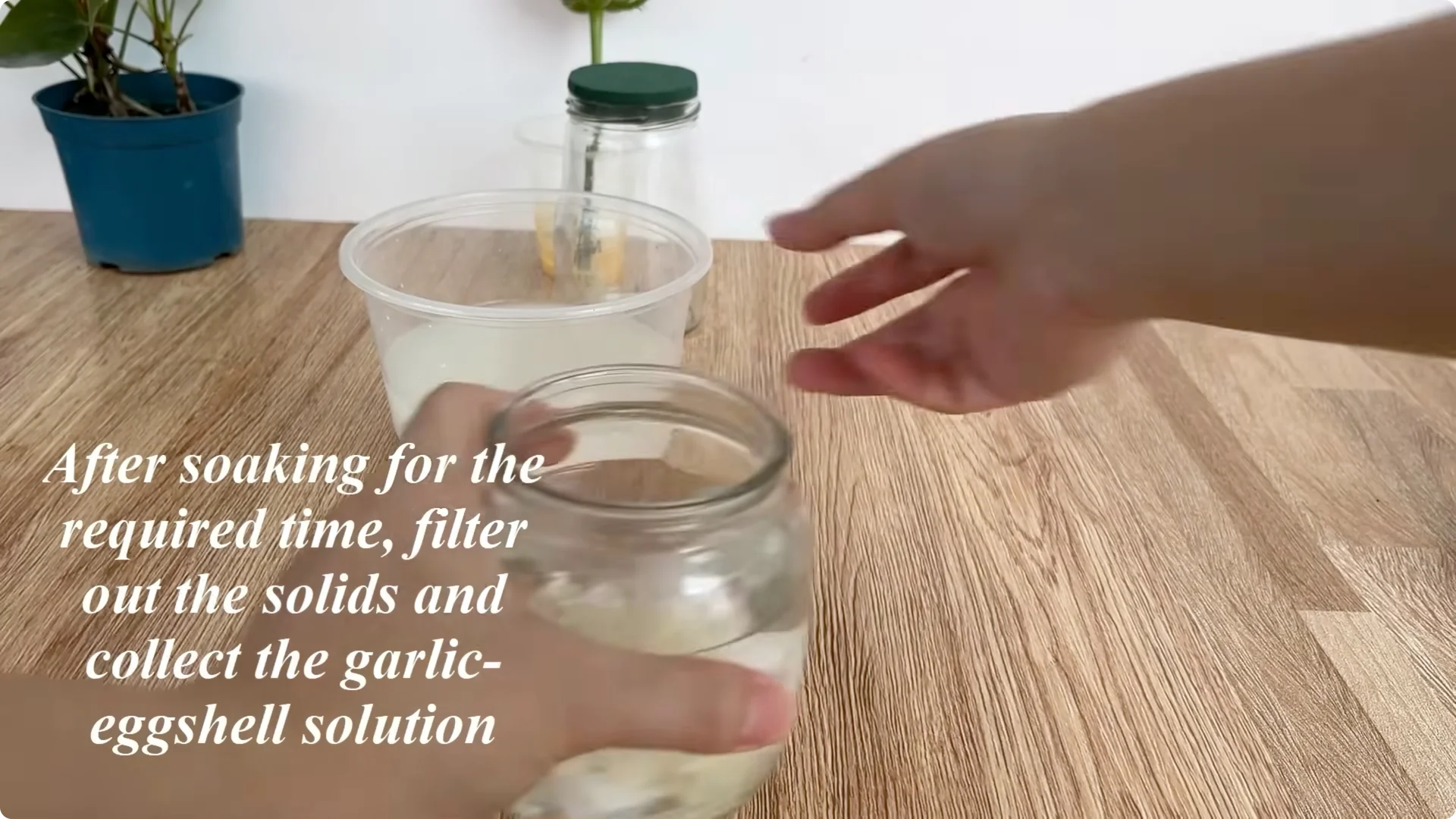 How One Egg Can Transform Your Rose Plant’s Roots and Blooms screenshot 5