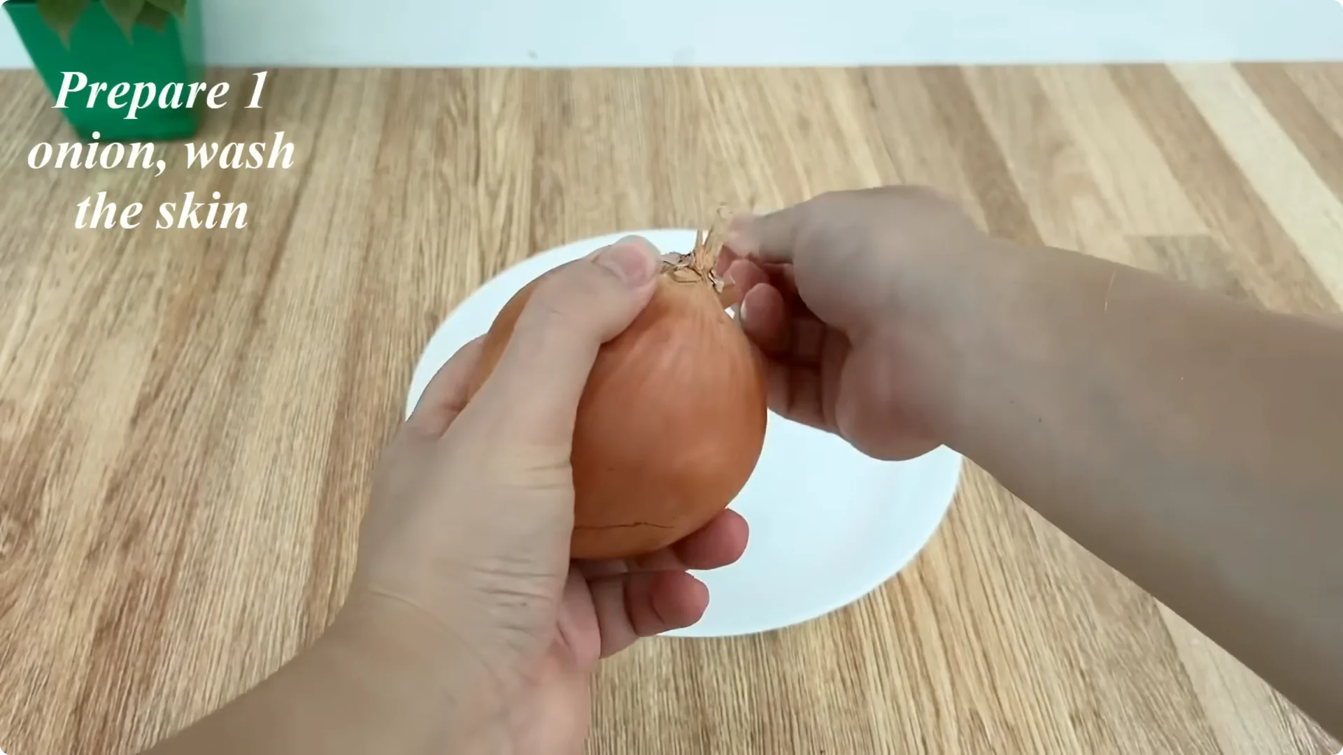 How One Onion Rose Branch Grows 1001 Roots and Blooms Year-Round screenshot 1