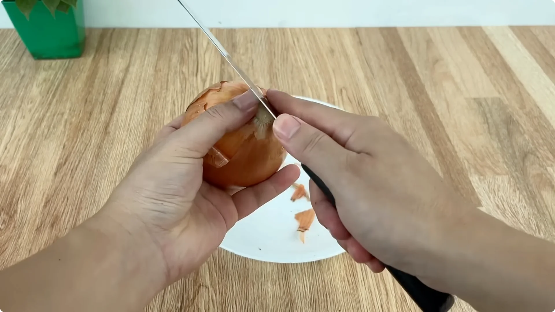 How One Onion Rose Branch Grows 1001 Roots and Blooms Year-Round screenshot 2