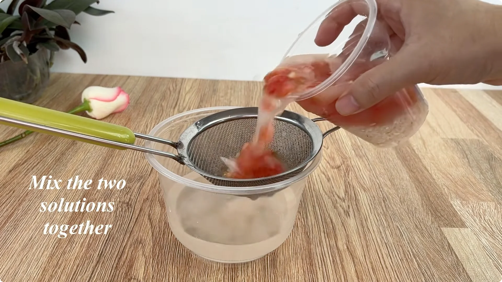 How One Tomato Boosts Rose Cuttings to Root 900% Faster screenshot 4